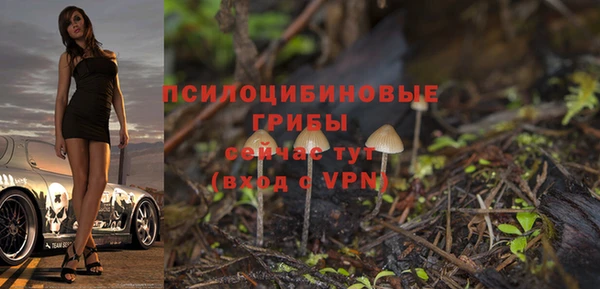 хмурый Балахна